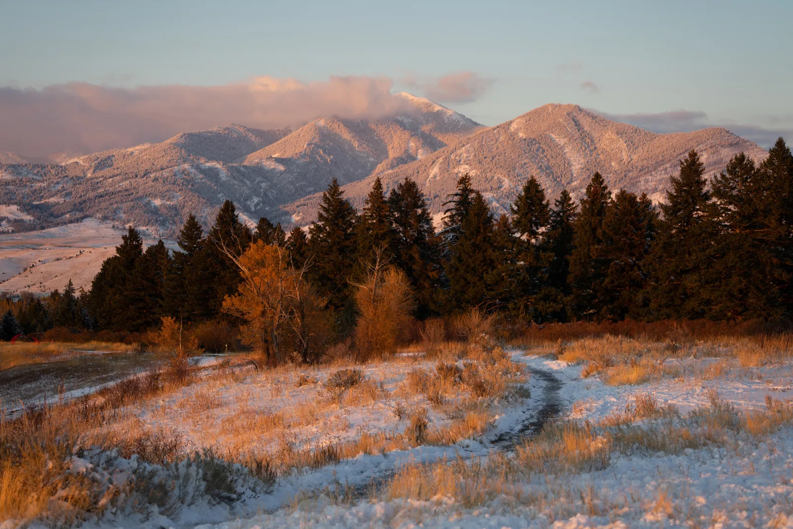 A snow-dusted path leads toward evergreen trees and sunlit mountain peaks.