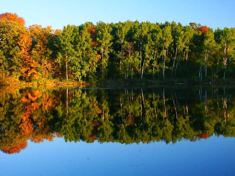 Autumn trees reflecting on a lake in Waukesha County's Lake Country region.