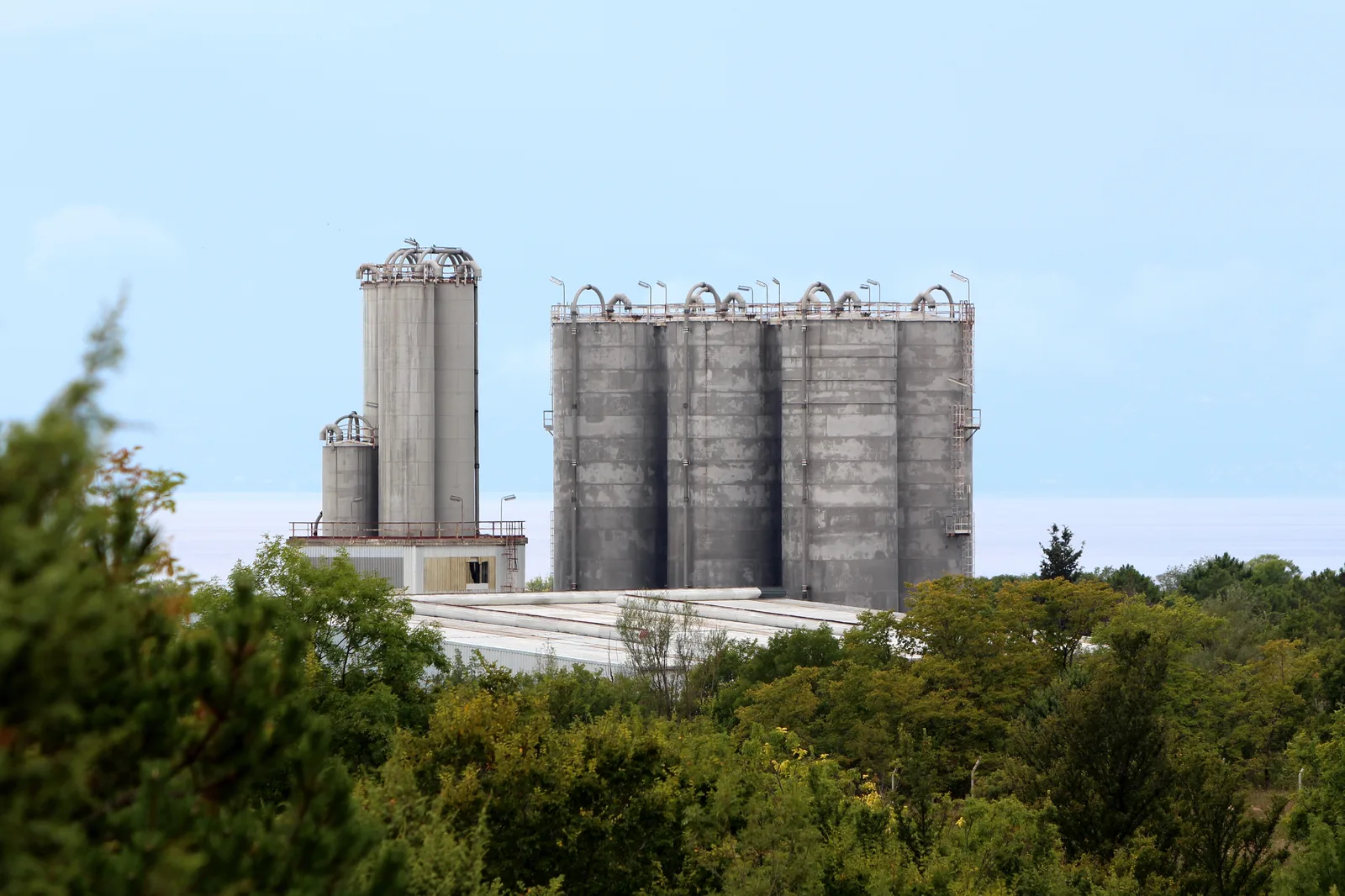 Industrial concrete storage silos surrounded by trees near a body of water.